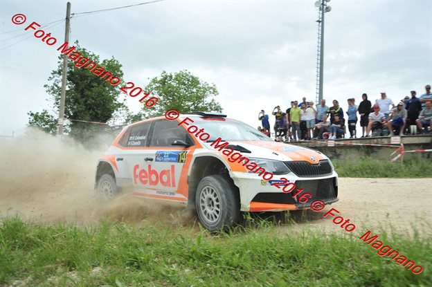 DSC_7147.JPG